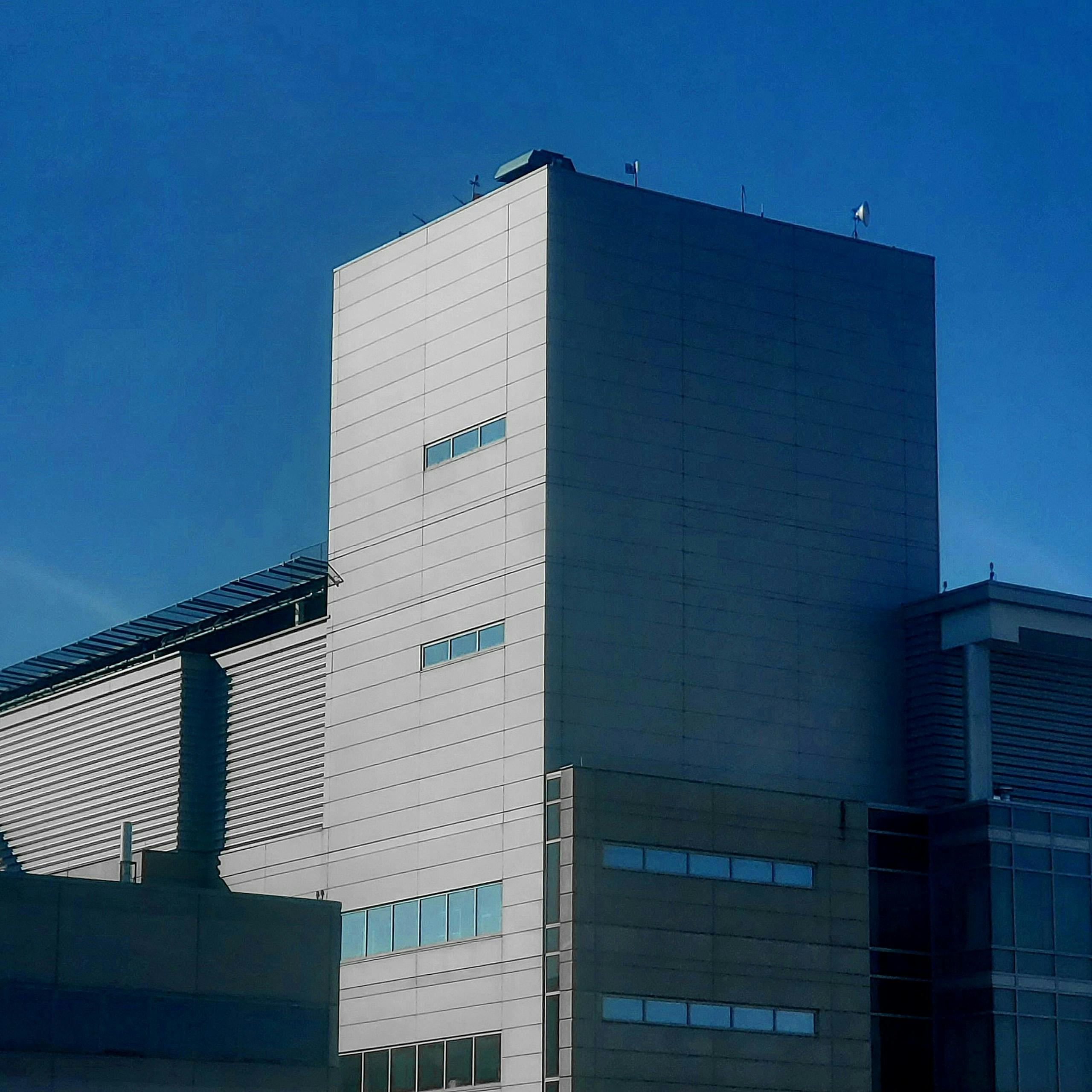 Pexels Photo 31006896 31006896